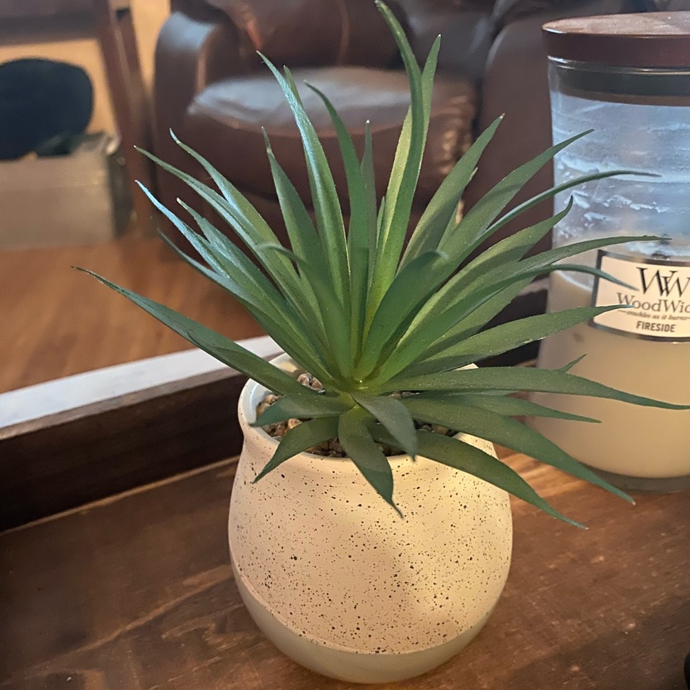 Faux plant